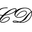 Clio Duo AI logo