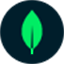 MongoDB Atlas Vector Search logo