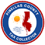 TaxCollect AI